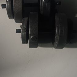 Weights 