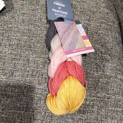 One Skein Caron  X Pantone  Bamboo  Yarn