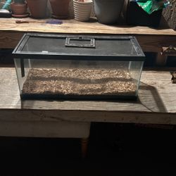 Snake Tank Terrarium 