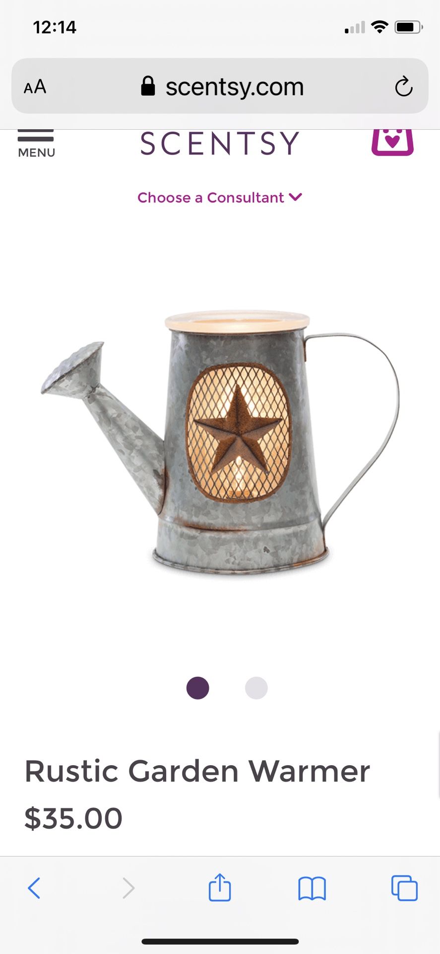 Scentsy Rustic Garden Warmer And Scent Bars