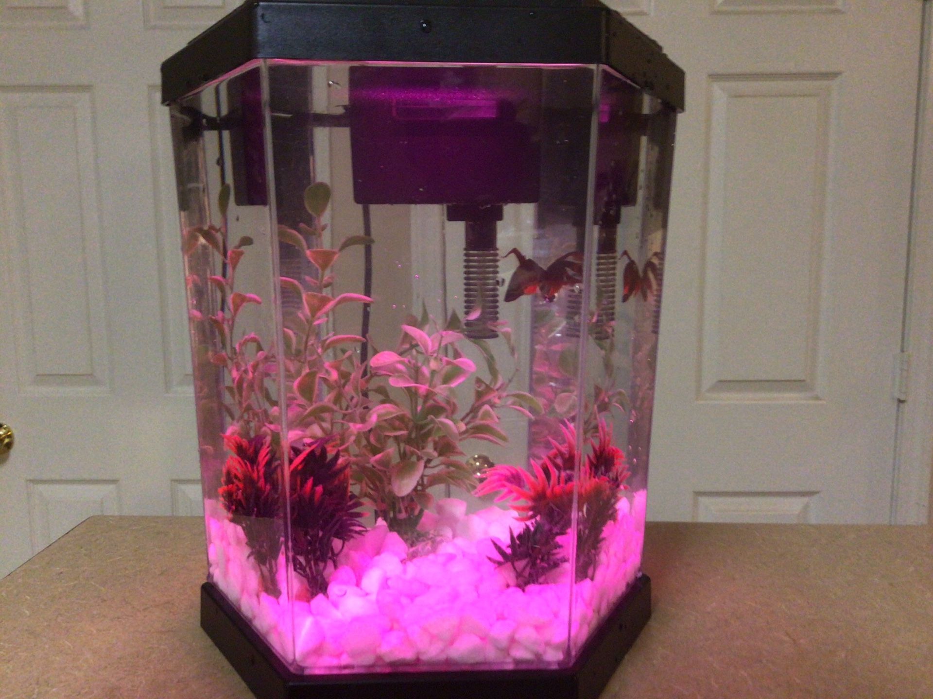 $25 - Mini Aquarium with Rotating Colored Led lights