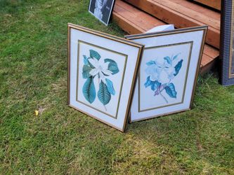 Pair of Framed Botanical Floral Prints