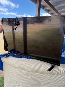 Insignia Flat Screen TV with Remote