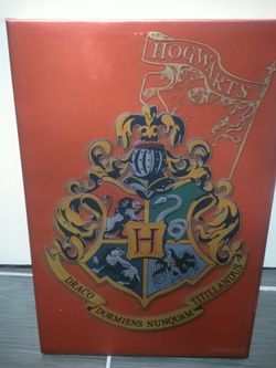 Harry Potter canvas