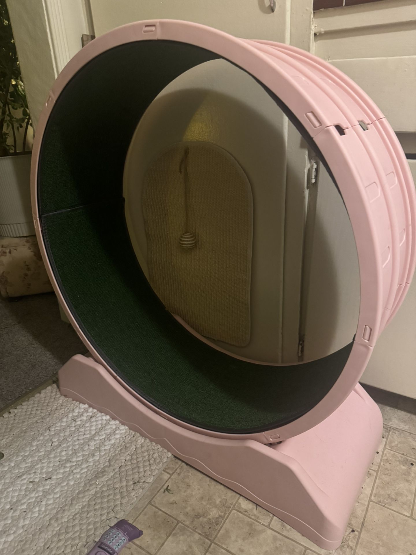 New Pink Cat Wheel