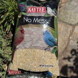 Kaylee While Bird Food