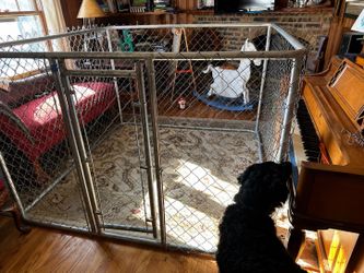 Dog Cage