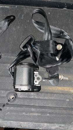 Seatbelt s