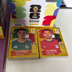Stickers Panini