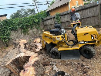 Ago Trabajos De Arboles Y Muelo Troncos 