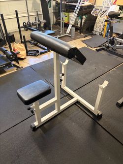 Preacher Curl Bench