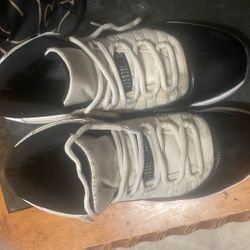 Jordan 11s Concords 