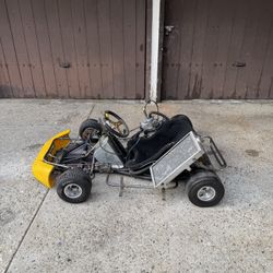 go kart / Shifter Kart 