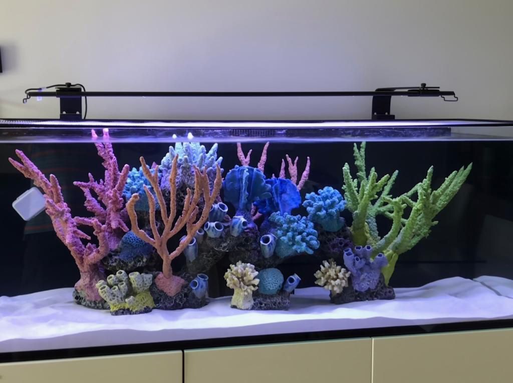 Reef In Fish Tank