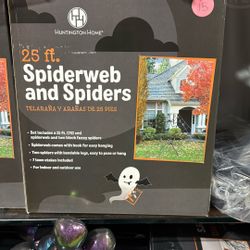 Halloween Outdoor Decoration 25 Feet Spiderweb With Spiders