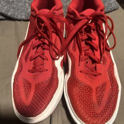 Size 13 Jason Tatum 1