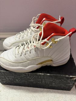 Jordan retro 12