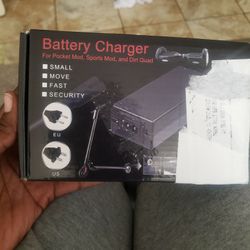 Hoverboard Charger