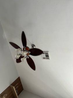 Ceiling fan