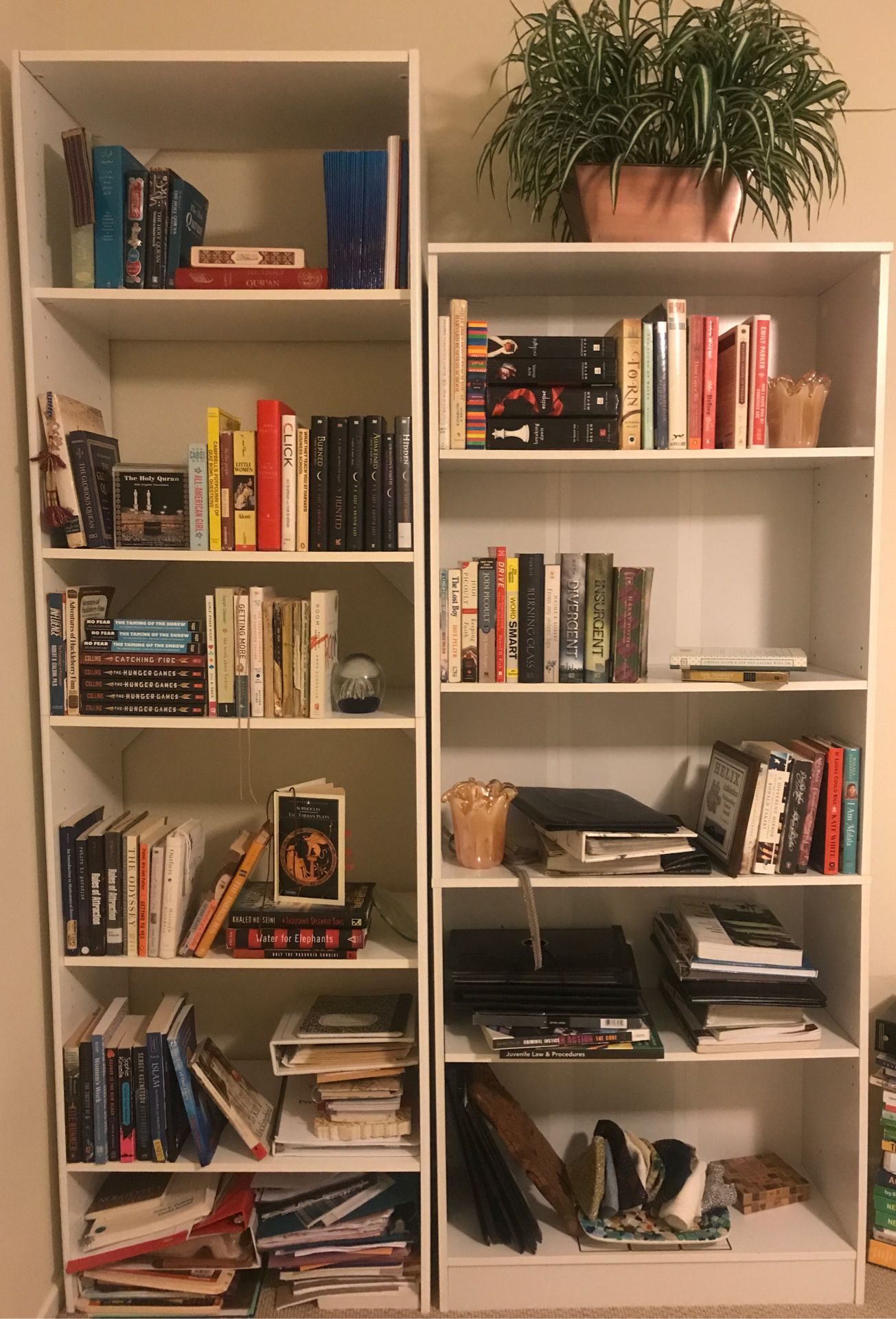2 tall bookshelves
