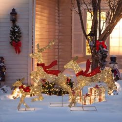 Champagne Gold Christmas Deer Family Decoration, Set of 3 ,HD2538