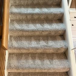 Carpet And Couches Cleaners 