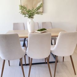 6 Dining Chairs