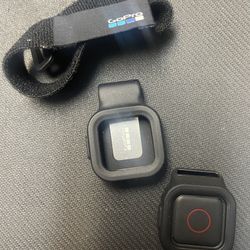 GoPro Remo Waterproof Voice Activated Remote.