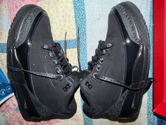 Jordan 3s Black Cats
