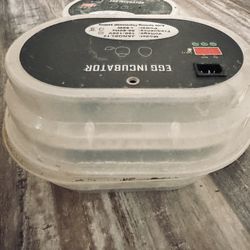 Egg Incubator