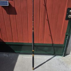 Calstar GF 700Ml (20-40) Fishing Pole 