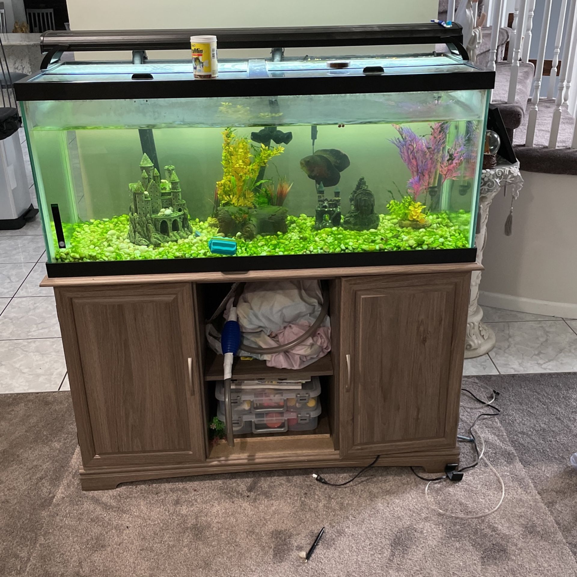 Fish tank and stand with filter and everything you need