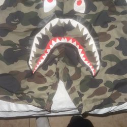 Bape Shorts