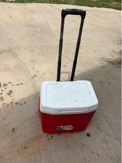 Cooler