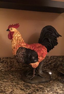 Rooster