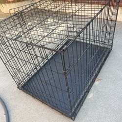 Doggy Cage 