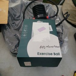 Exercise Ball W/pump & Stand 