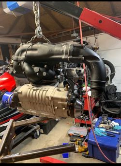 Everything Under The Sun