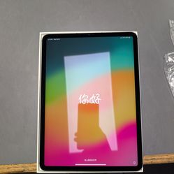 Apple 4th gen Ipad Pro 11in