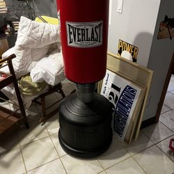 Everlast Punching Bag 