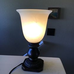 Frosted Glass Urn Shaped Accent Table Lamp (10”)