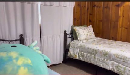 Twin beds /frame