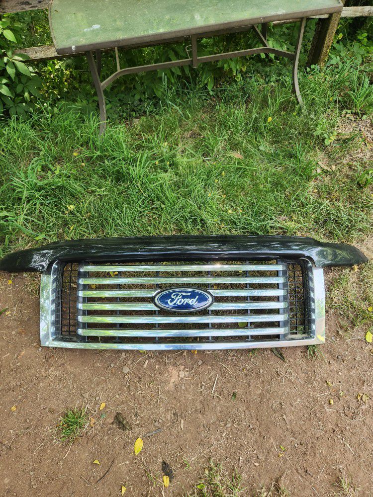 09-14 Ford Grill With Bug Guard