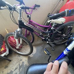 Bike Treck 24 Inch Like New 