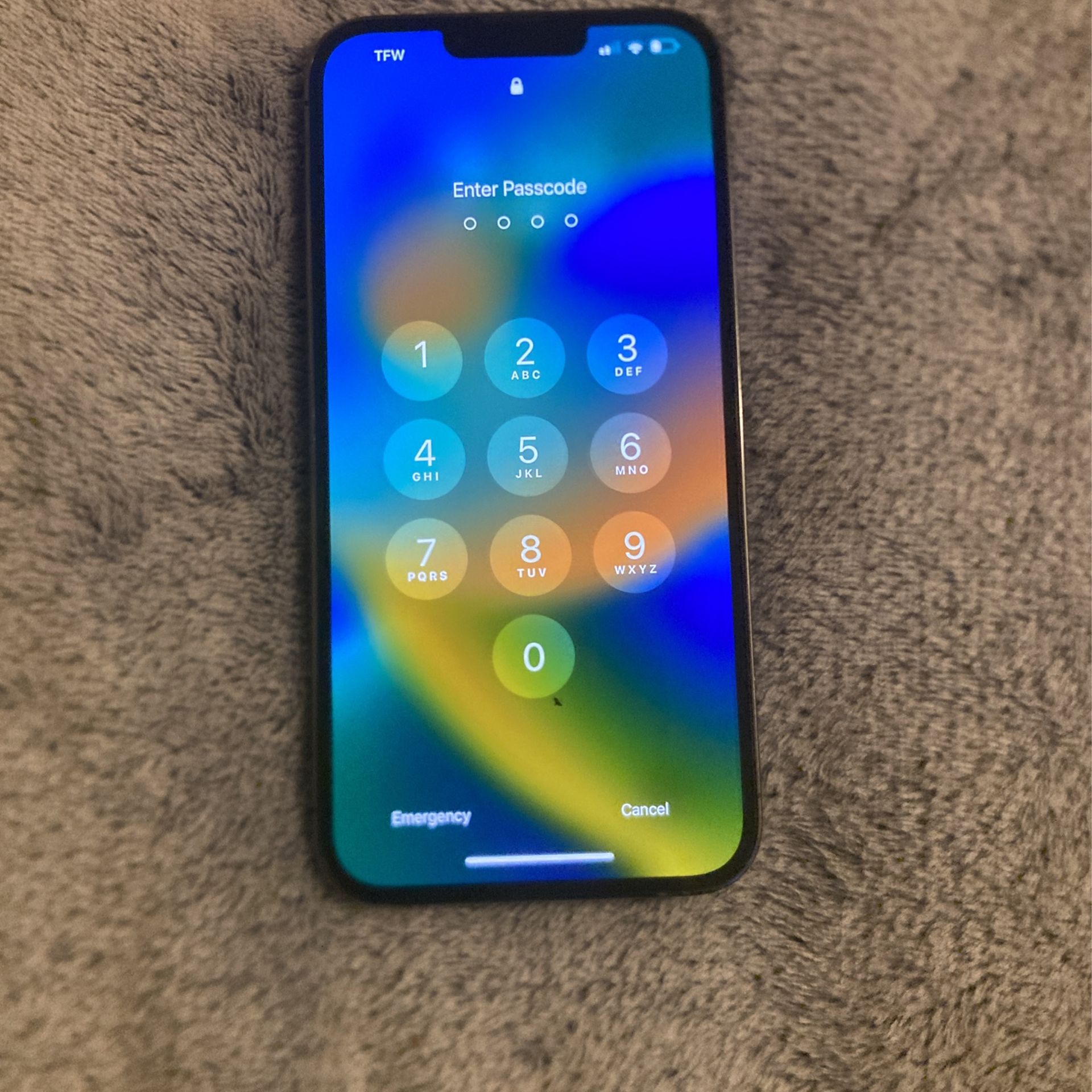 iPhone 13 Pro Max