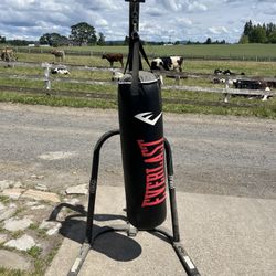 Everlast Heavy Boxing Bag
