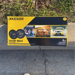 6.5 Inch Kicker Door Speakers