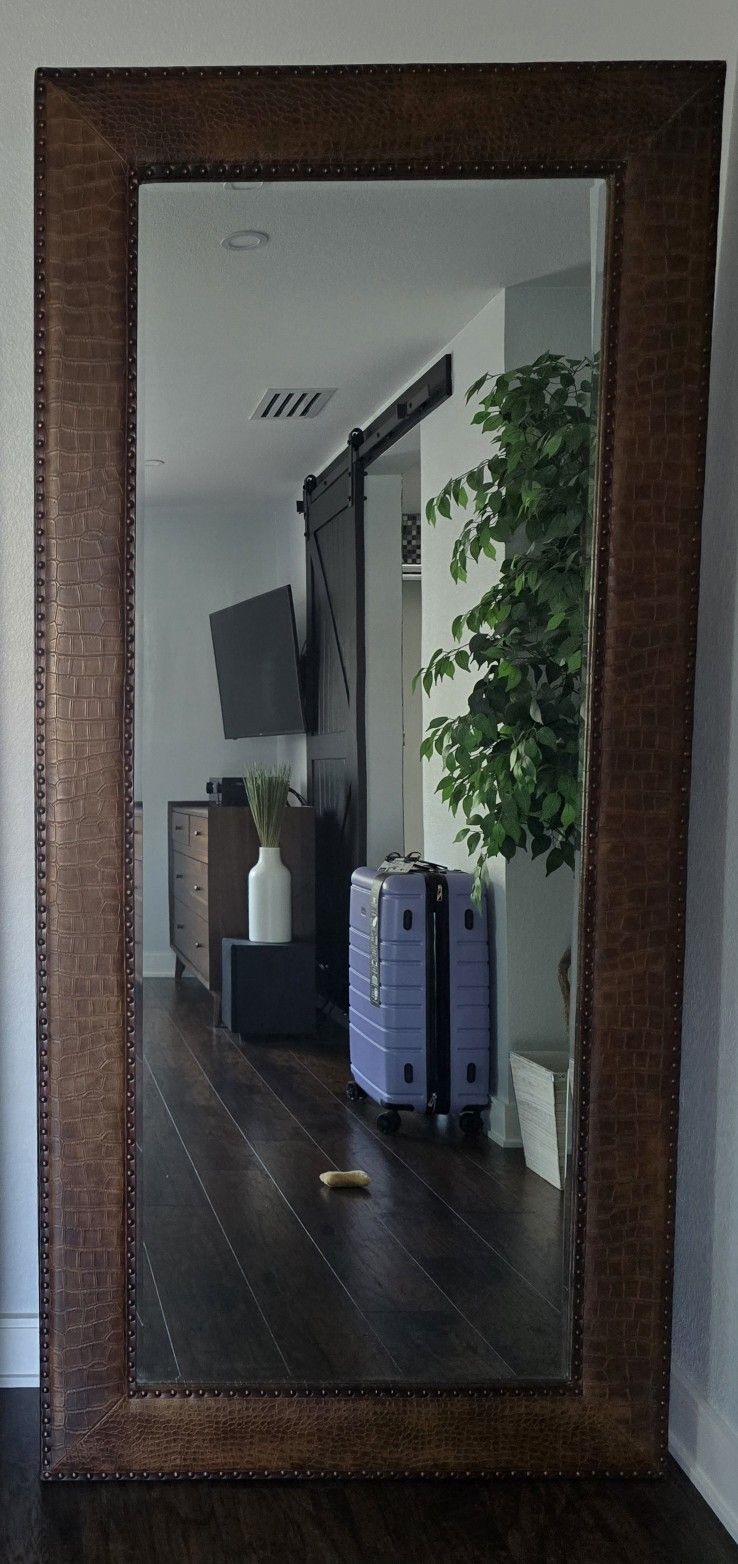 Z Gallerie Wall/Floor Mirror