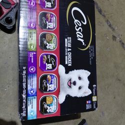 Cesar Wet Dog Food