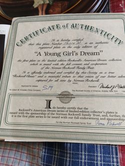 A young girls dream
